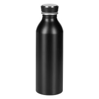 Wasserflasche, 550 ml