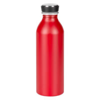 Water bottle, 550 ml